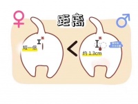 以奶猫怎么看性别（了解奶猫性别的重要性和判断方法）
