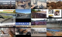 山东金鸿肉狗养殖基地