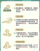 宠物蛇的养护须知，防蛰攻略与图解
