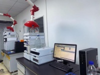 豚鼠生长因子(CTGF)ELISA试剂盒重复性好可定制