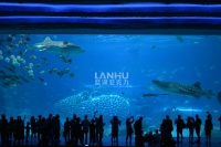 大型鱼缸，水族馆，海洋馆维生系统设计要点