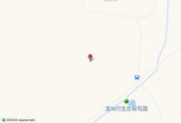 宠物训练师助理工作内容