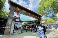 花香、鸟语、虫鸣……带你探寻记忆中的“盛夏味道”