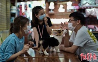 萌宠经济：年轻人花钱求“治愈”？——人民政协网