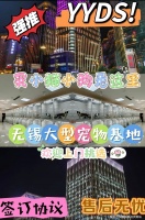 无锡哪里有柯基犬卖？无锡这里柯基犬品质优良，购宠更安心！