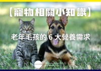 【宠物相关小知识】老年毛孩的6 大营养需求