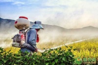 竹鼠生态养殖前景佳 远销至国外市场