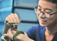 保护世上最美的“雅女蛇”