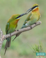 广东保护野生动物宣传月活动启动