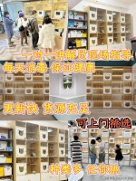 泉州哪里可以买到品相好的博美犬，这里实体店选购宠物，安全可靠更值得信赖。