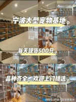 宁波宠物市场地址电话?这里安全可靠还能实地选宠物不虚此行