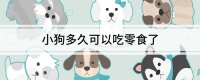 小狗多久可以吃零食了