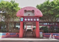 全国首个！白云机场宠物航站楼来了