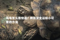 乌龟怎么寄快递？教你安全运输小可爱的方法