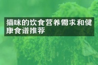 猫咪的饮食营养需求和健康食谱推荐_猫咪-宠物喂养-网者头条