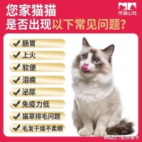 禾萌公社：关注猫咪毛发健康，科学配比Omega-3或可减少掉毛困扰