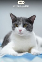 步入鲜肉精准营养时代，弗列加特为爱宠提供“个性化”健康蓝图