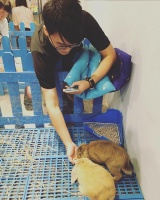 香港开了第一间兔子咖啡馆，真的把我萌住啦~