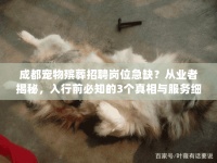 成都宠物殡葬招聘岗位急缺？从业者揭秘，入行前必知的3个真相与服务细节