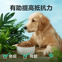 网易严选宠爱相伴全价狗粮：科学配方守护爱犬健康