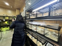 蛇年蛇宠走红 有年轻人开始排队“撸蛇”——中国环境网