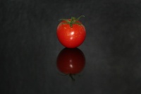 黑金刚龙鱼图片大全大图（红鹦鹉鱼的品种）