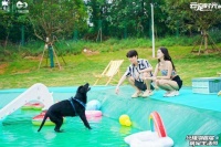 成都兴隆湖首届萌宠生活节开幕