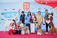 首屆嗨寵節開幕！深圳寵物世界一站GO啟動