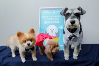 16款畅销全价狗粮权威检测安全榜单