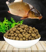 鱼饲料怎么选不踩雷？10大品牌深度盘点，必看的性价比清单