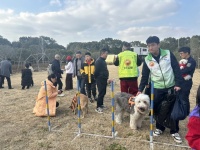 当一日训犬师是什么体验？这场亲子活动让成长与治愈同行