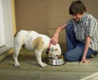 宠物狗吃肉怎么弄才好吃