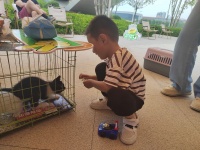 我市举办萌宠公益领养活动
