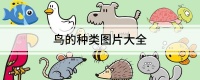鸟的种类图片大全