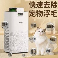 提升居家空气质量，宠物主人必备的空气净化器推荐！