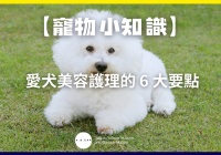 【宠物小知识】爱犬美容护理的6 大要点