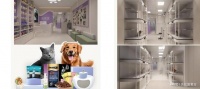 宠物消费爆发！洗欢宠智能宠物店，1-2 人轻松赚大钱