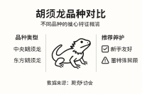 胡须龙爬行动物本质：影响宠物养护的关键