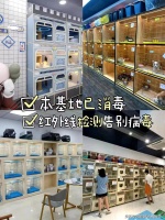重庆哪里可以买到泰迪犬，这里实体店选购宠物，安全可靠更值得信赖。
