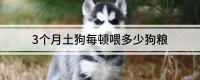 3个月土狗每顿喂多少狗粮