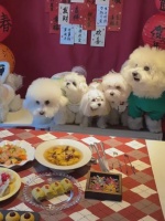 太突然！暴涨489%！