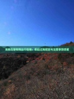 海南岛宠物狗出行指南：乘船过海规定与注意事项详解