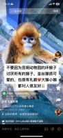 养猴子犯法吗的简单介绍