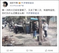 连云港两男孩用烟花烧死宠物狗引发争议