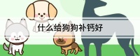 什么给狗狗补钙好
