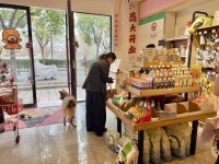 春节来临，宠物寄养or托运？