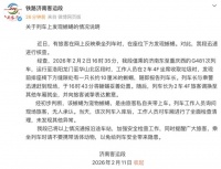 高铁车厢突现蜥蜴？铁路济南客运段最新通报：系宠物蜥蜴，由旅客私自夹带上车！铁路部门提醒→