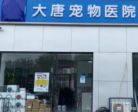 宠物医院免费给狗注射人用胰岛素，被罚1.3万元