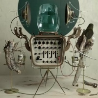 用植物、水、树枝制成的神奇音乐播放机