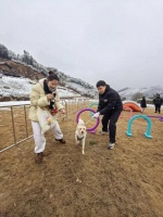 “宠你杯”萌趣开赛  携宠乐享乡野